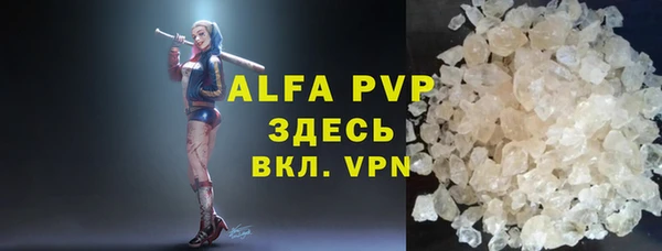 индика Осташков