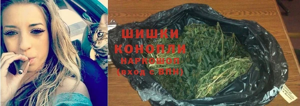прущая мука Верея