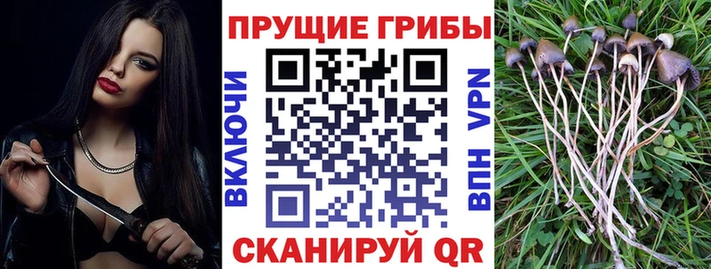 Псилоцибиновые грибы ЛСД Кинешма